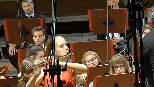 C. Reinecke - Flute concerto in D major, mov. I 